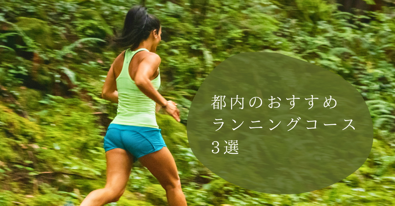 都内のおすすめランニングコース3選｜皇居・林試の森公園・レインボーブリッジを実際に走ってみた